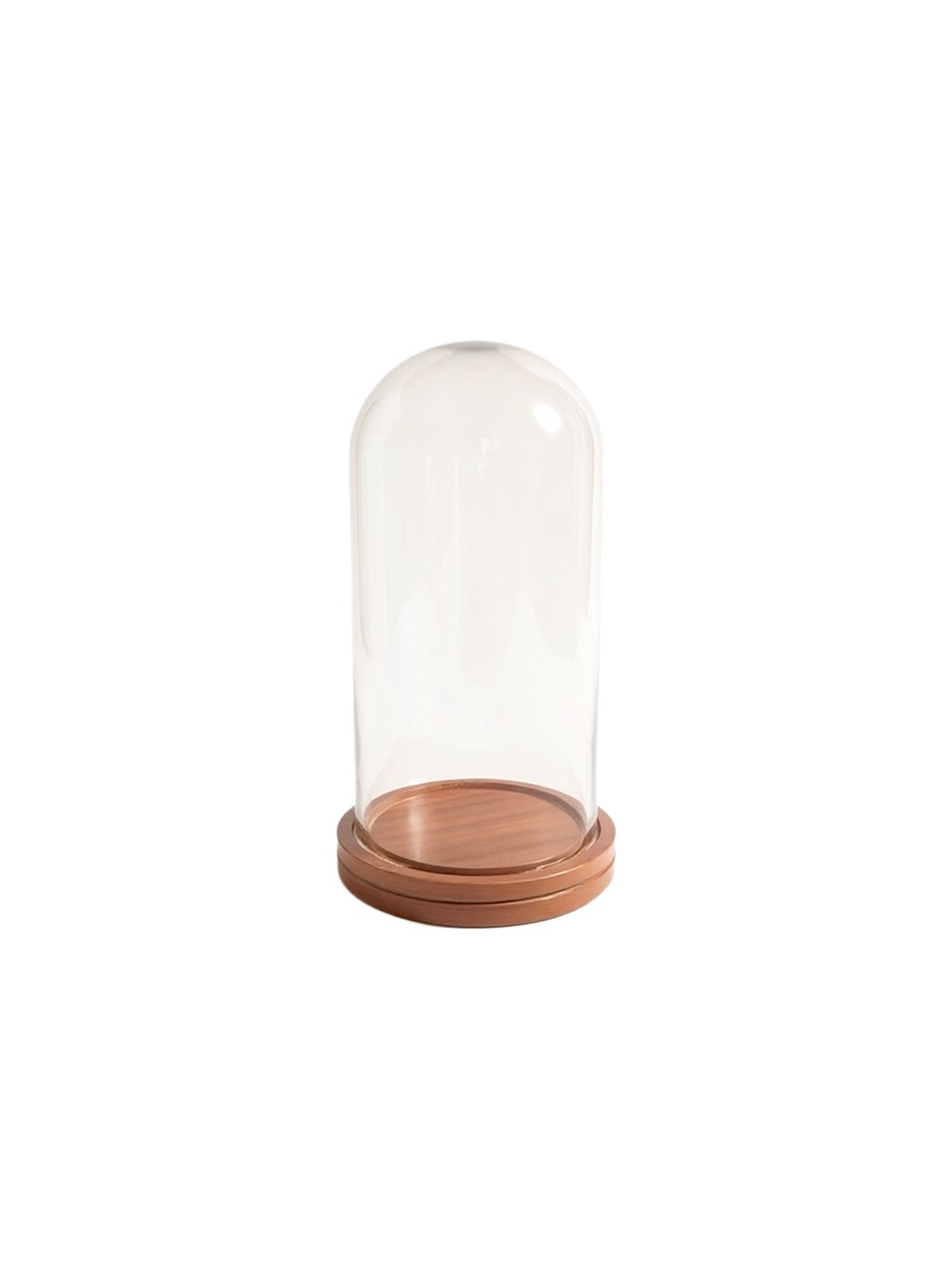 Vintage Small Glass Dome With Wooden Base Decorative Cloche